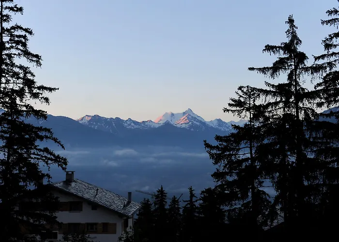 Hotel Helvetia Intergolf 4*